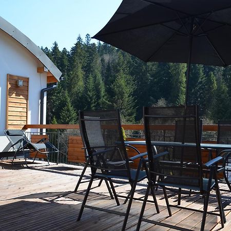Luzik Krynica Appartement Buitenkant foto